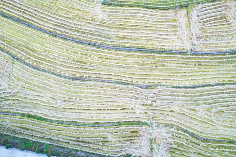 东莞首饰加工厂珠宝镶嵌工艺的技术要点与质量控制