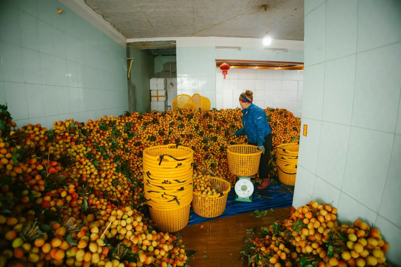 东莞首饰加工中的钻石镶嵌工艺难点与质量把控要点解析