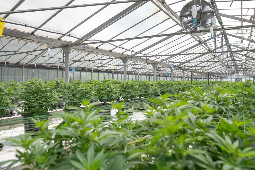 东莞首饰加工工艺对比：蜡雕与电脑建模精度差异分析