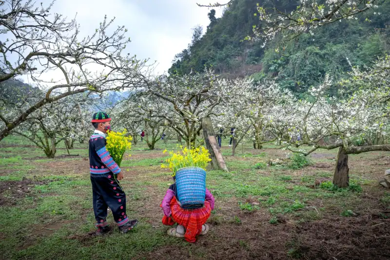 东莞凤岗珠宝镶嵌工艺对比：传统手工与激光微镶技术解析